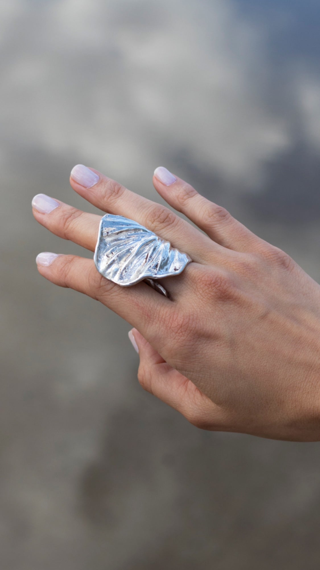 AP/ ANILLO NATURALEZA