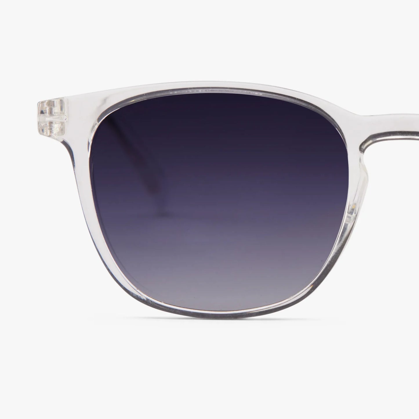 BARNER GAFAS DE SOL DALSTON GLOSSY