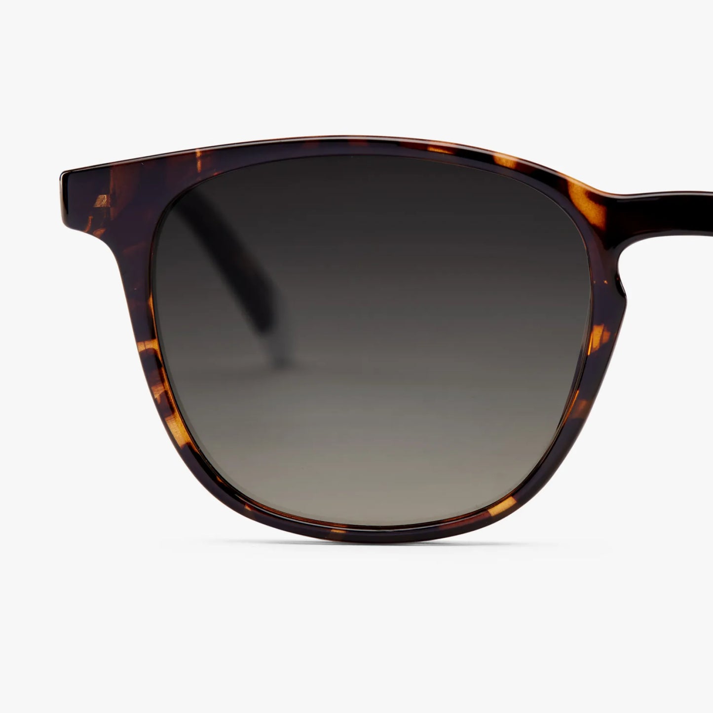 BARNER GAFAS DE SOL DALSTON GLOSSY