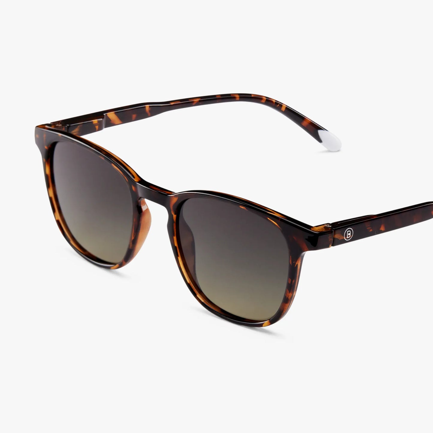 BARNER GAFAS DE SOL DALSTON GLOSSY