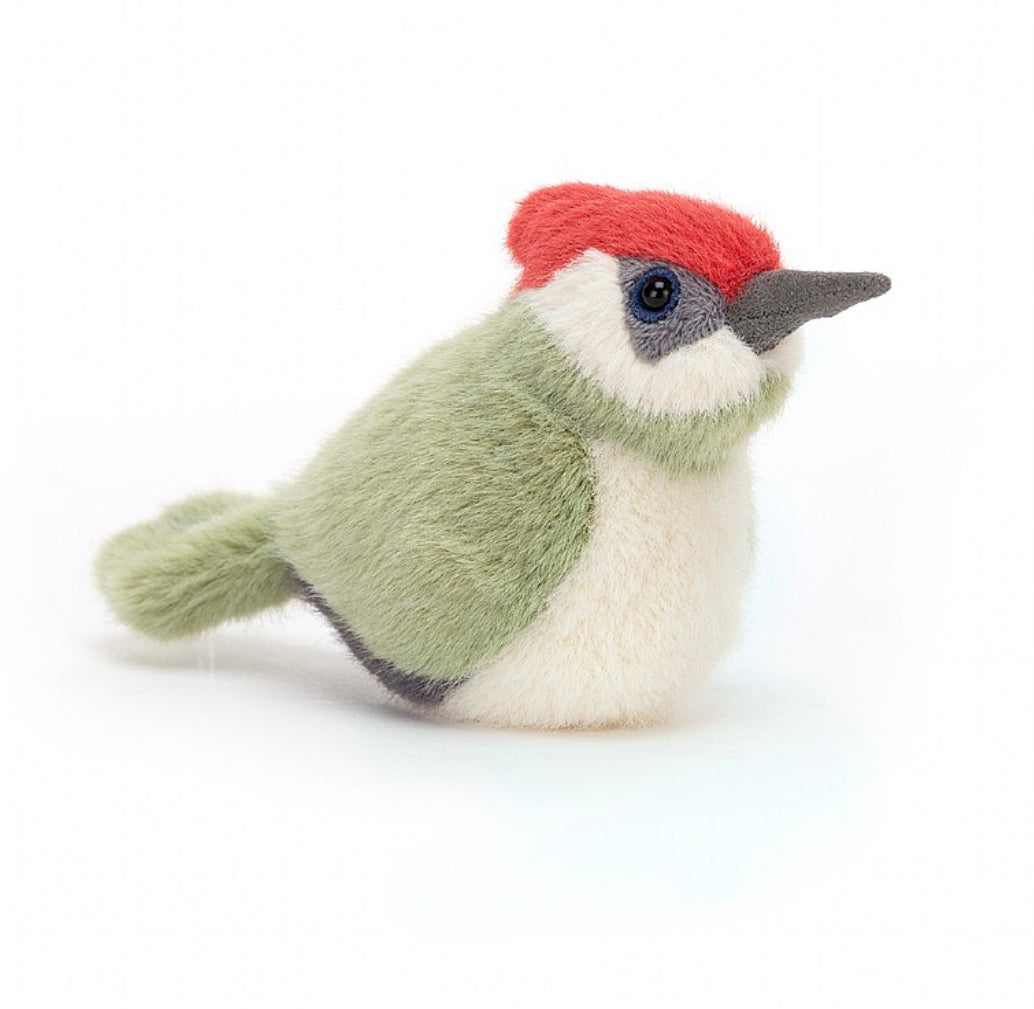 Bridling Woodpecker
