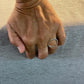 AP/ ANILLO SUTILEZA