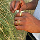 AP/ ANILLO IBIZA